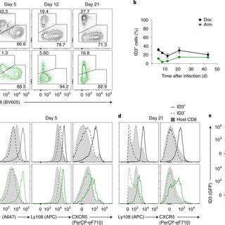 Early precursor T cells establish and propagate T cell  .
